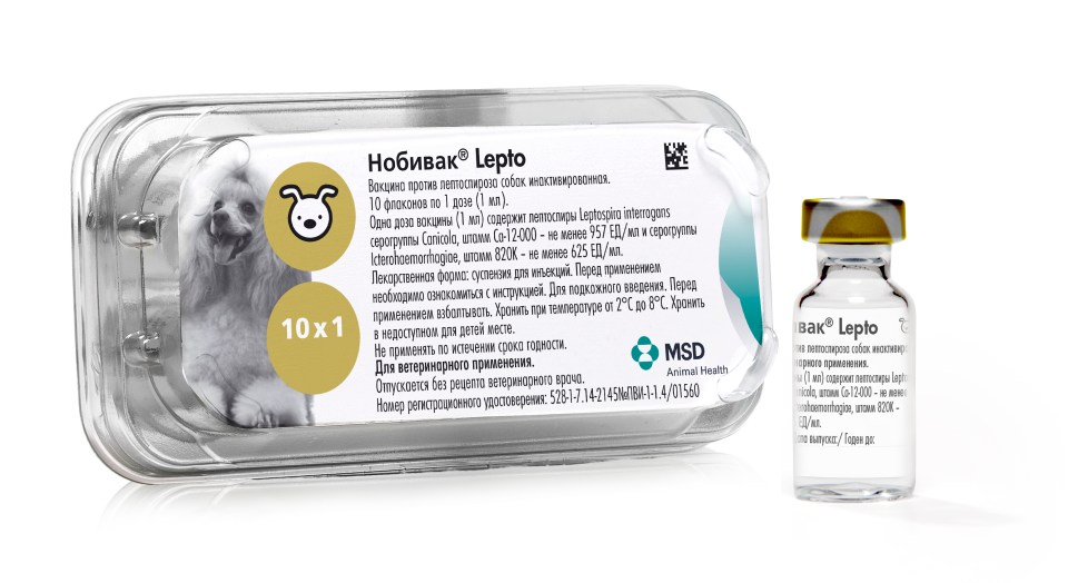 Правила хранения