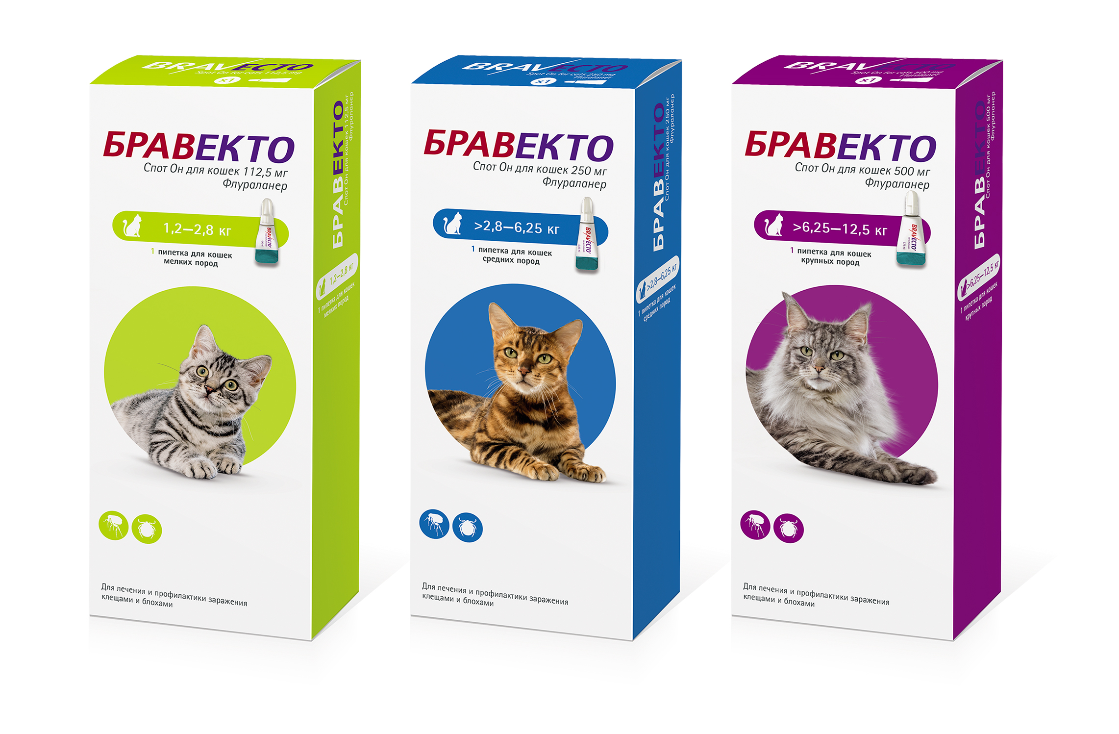 Бравекто Спот Он (Bravecto Spot On) - MSD Animal Health Russia